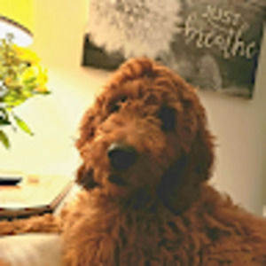 Meet your Posher, Janice